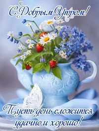 427_280.webp