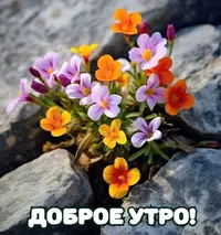 IMG_3566.webp