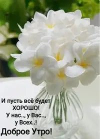 EAC4BADE-DB5B-4211-81EF-2D9C66114827.webp