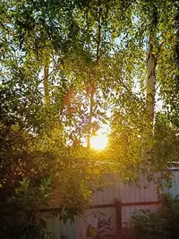 IMG20240628201814.webp