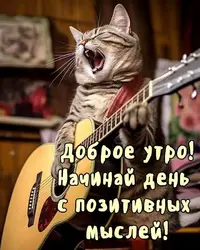 IMG_3586.webp