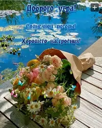 IMG_20240619_145510_312.webp