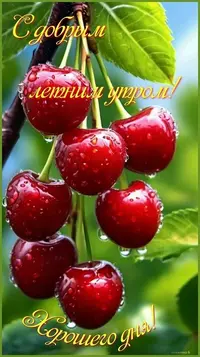 IMG_20240619_191839_345.webp