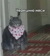 5ec9b873a396712980cd65a3c52b6de7fdaf4402a166e312360fbb5ea2fe2a7c.webp