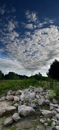 8.webp