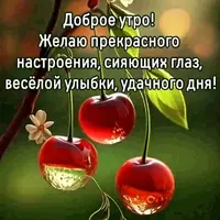 449268646_1525031768100326_4563711203945136033_n.webp.webp