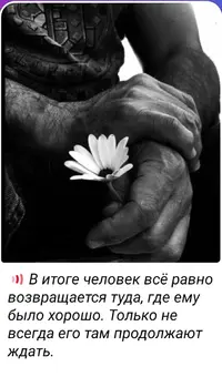 4547.webp