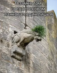 03_637.webp