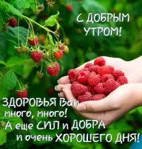 IMG_3634.webp