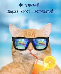 imgonline-com-ua-Resize-b88MwwKaKW.webp