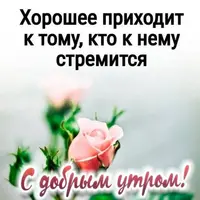 43_433.webp