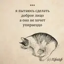 V1CbElwIhmQ.webp