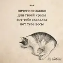RHx3RIyktI0.webp