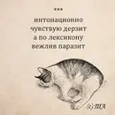 OCDXrOT065Y.webp