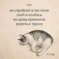 lTboRqhHwrQ.webp