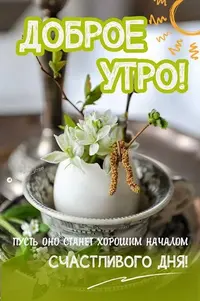 46_818.webp