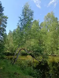 IMG20240706122746.webp