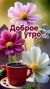 443_675.webp
