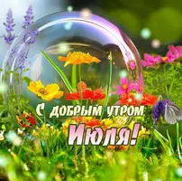 BAF2243F-A76D-4483-B368-2CD6D353B7E4.webp