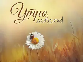 F5BF390A-0B60-405C-B311-6C569D628488.webp