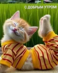 208479A7-6CE1-4C47-8F5B-C9F4DEA62B08.webp