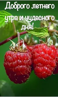 IMG_3723.webp