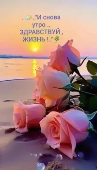 450662769_494199769742082_5851617787715427312_n.webp