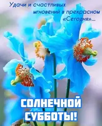 AC579741-9B71-4FB5-BDAD-3383E6E415D5.webp