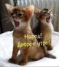 IMG_3726.webp