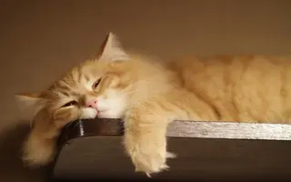 imgonline-com-ua-Resize-9Jf2caTiUEj.webp