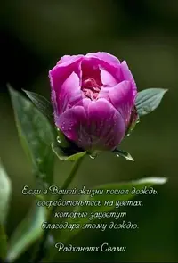 4_085005.webp