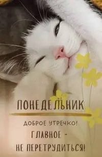 0D013383-84D9-418F-ABAD-A3F7C21ED105.webp