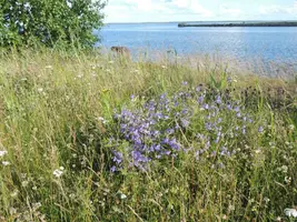 IMG_COM_202407150745447513.webp