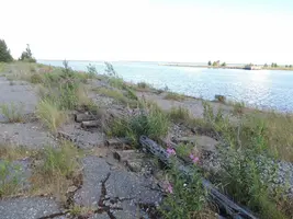 IMG_COM_202407150745444621.webp
