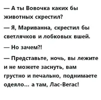 IMG_20240715_203212_391.webp