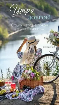 42505_304.webp