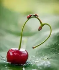 01218E7C-9A59-479C-9D20-6D1DDABB0061.webp