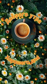 _326.webp