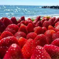 CE78D031-3341-46F1-ACE5-AFBB3E2F51EF.webp