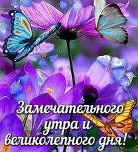 6D115047-9F56-44D0-A9C4-6ACE722B76DA.webp