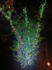 20240719232328.webp