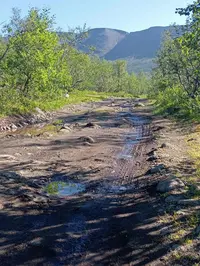 IMG_COM_202407211905574236.webp