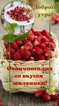 42_158.webp
