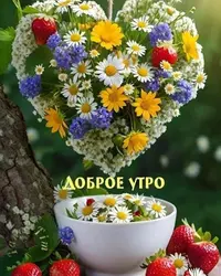 imgonline-com-ua-Resize-vhf6mg86orN72.webp