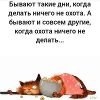 ️Разместим ваше объявление. Пишите в личку#доброеутро #утро #жизнь #хаха #я #цитаты.webp