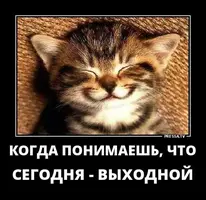 i.webp