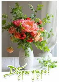 IMG_3804.webp
