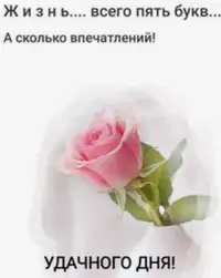 40D90FAB-B8A1-44DB-B62F-1BACBA981B18.webp