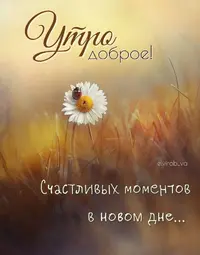 95e95e08d08e513b8c27c687fc36470b.webp