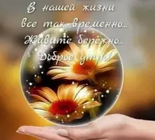 586B9330-0DCD-4A03-990E-A48562920FC6.webp